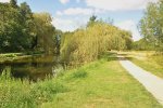 Abbey Meadows in Thetford