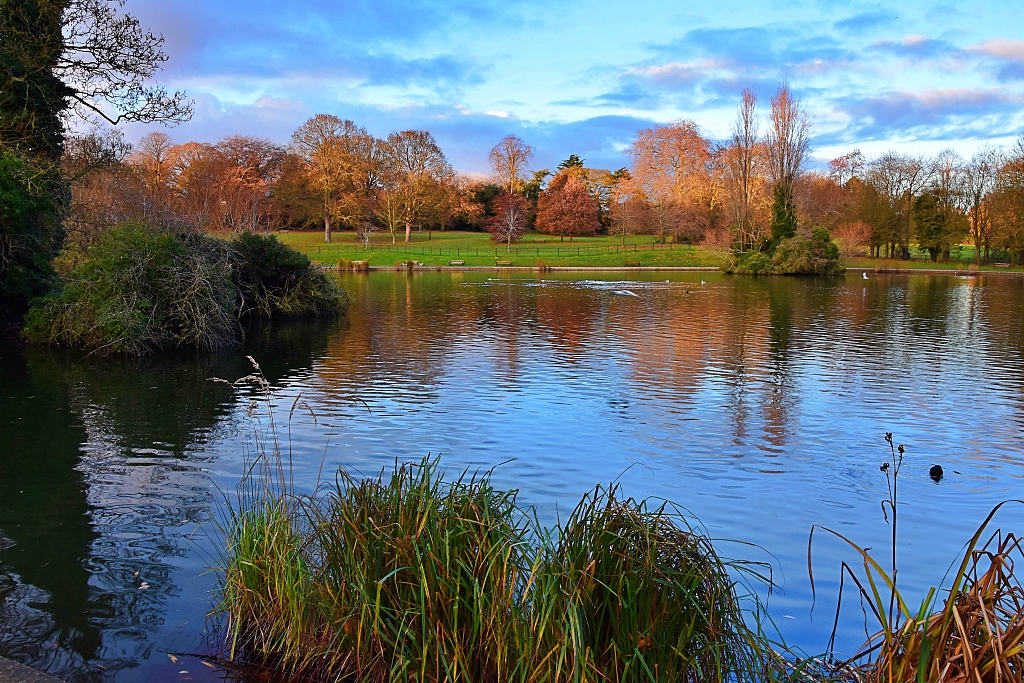 Autumn Sunshine in Abington Park © essentially-england.com