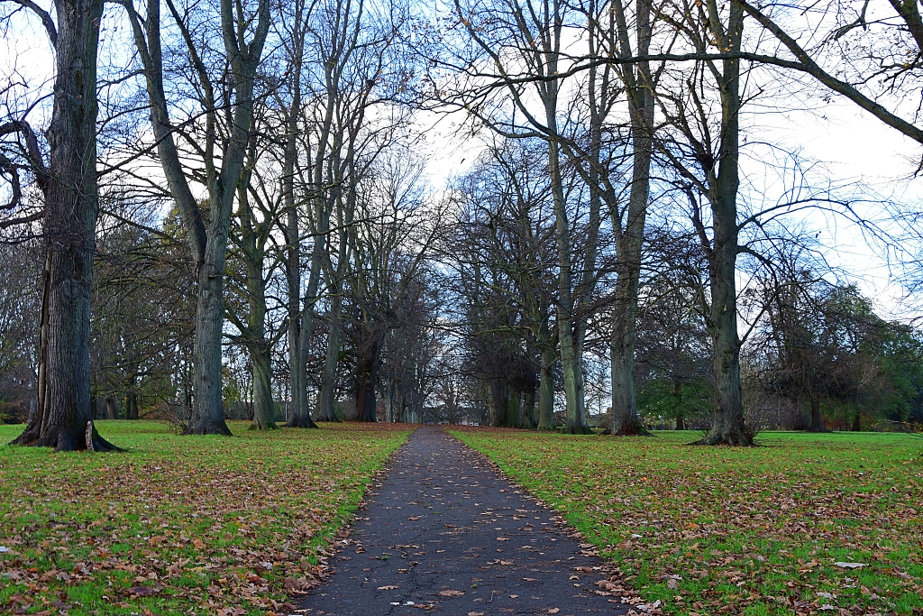 Tree Avenue in Abington Park © essentially-england.com