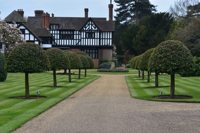 Bay Tree Lined Avenue © essentially-england.com