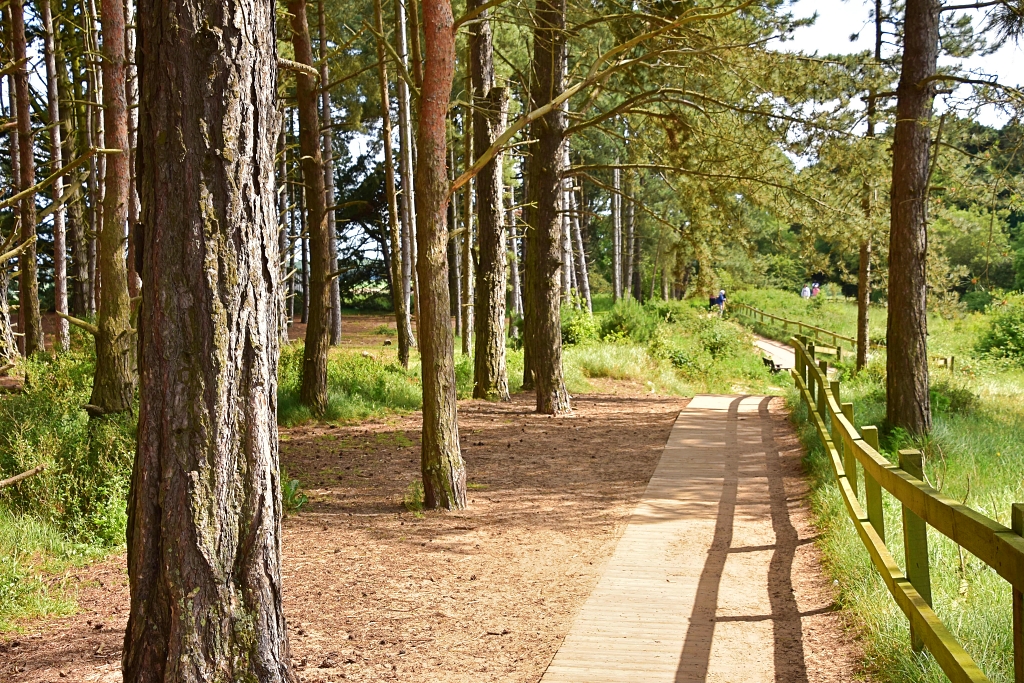 The Holkham Gap Boardwalk © essentially-england.com