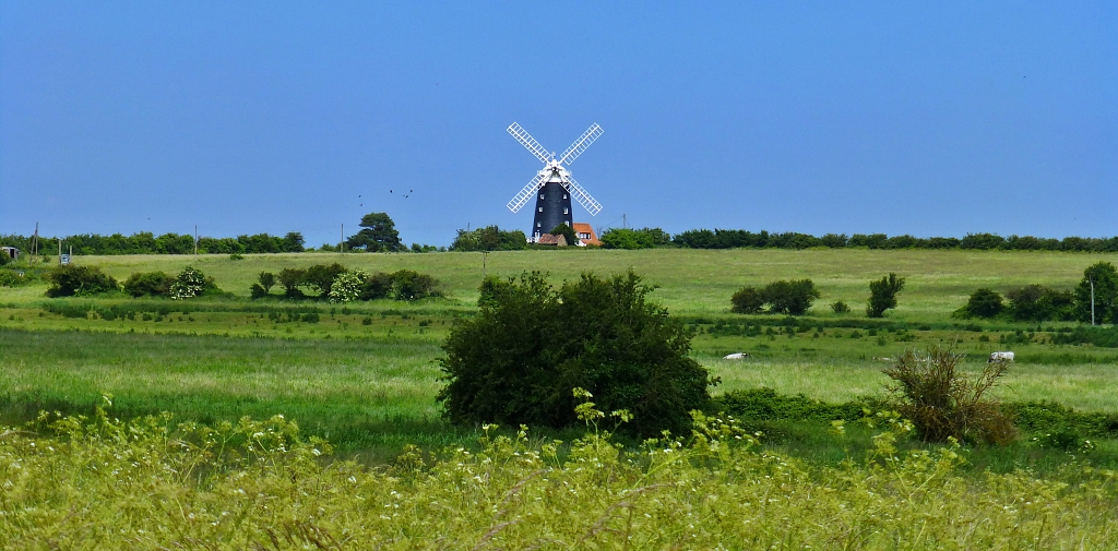 There Are Great Views When Cycling in Norfolk, Burnham Overy Windmil © essentially-england.com