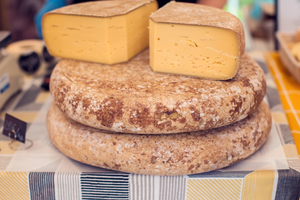 Lovely Cheese © Aleksej Sarifulin | Getty Images canva.com