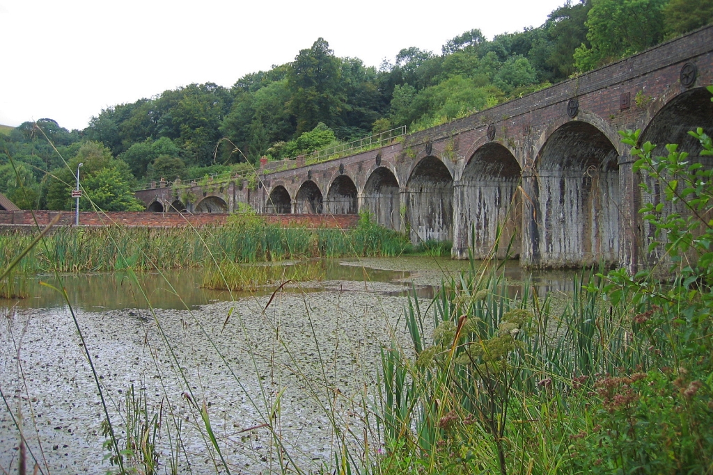 Nature Reserve in Coalbrookdale © essentially-england.com