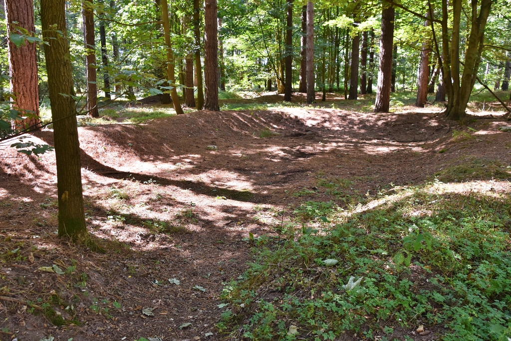 The Base Area of a Nissen Hut in the Forest © essentially-england.com