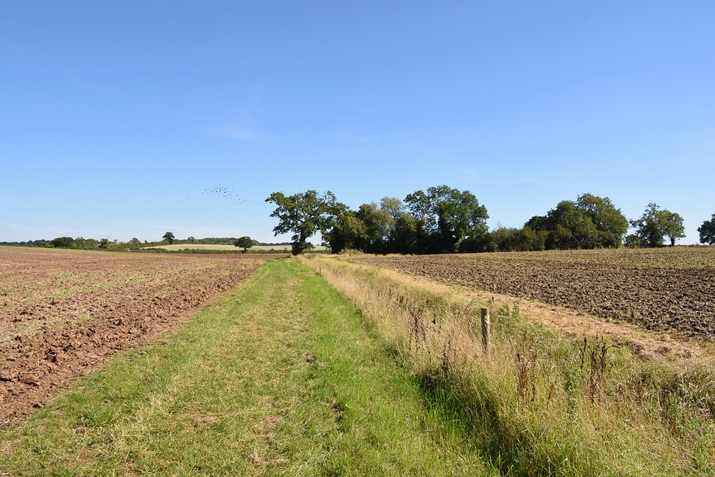 Grass Field Boundary and Ditch on Right © essentially-england.com