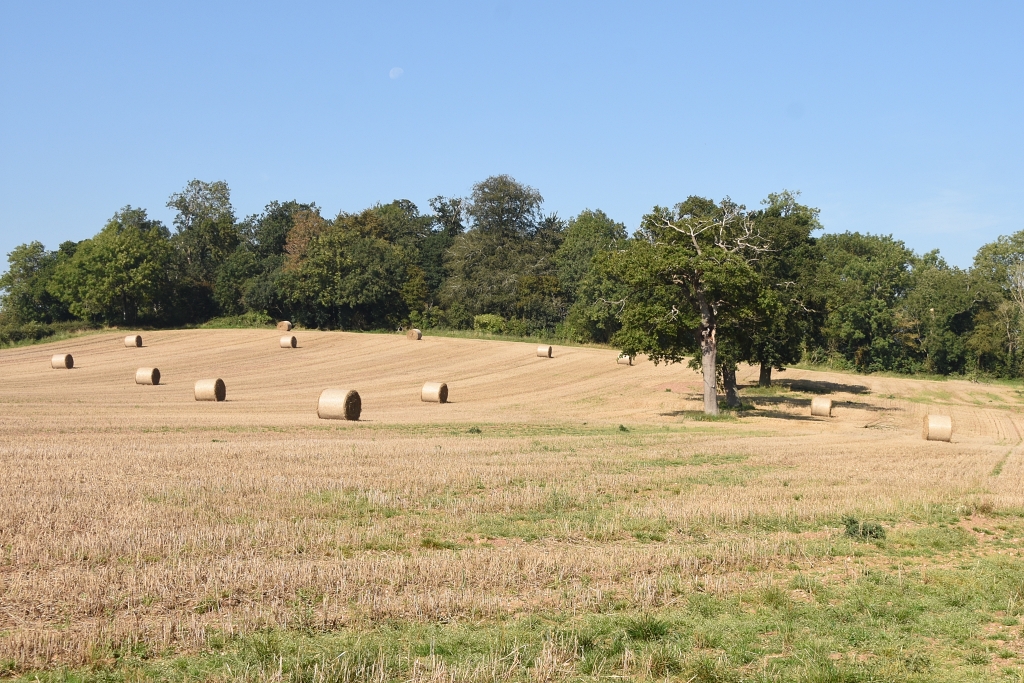 The Field After Leaving Bearley © essentially-england.com