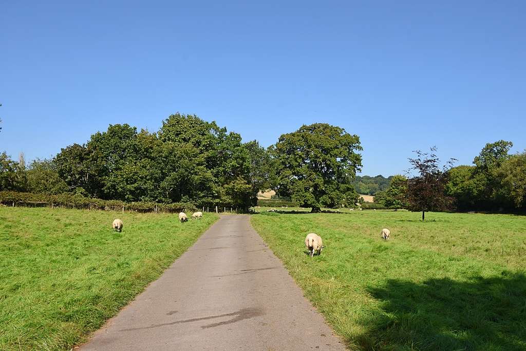 The Driveway to Cutlers Farm © essentially-england.com