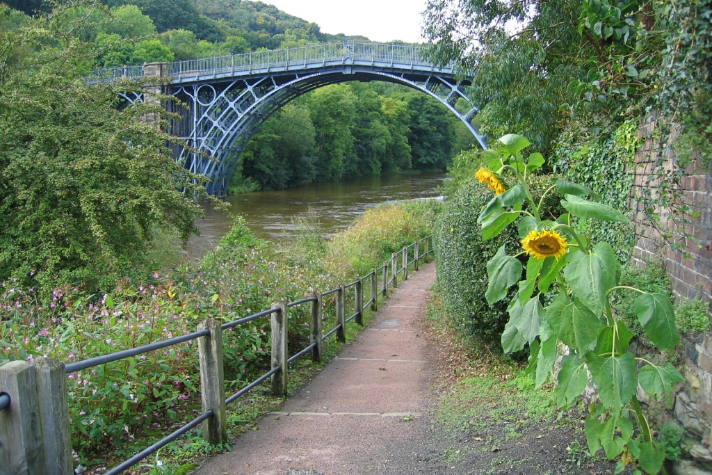 Sunflowers by Ironbridge © essentially-england.com