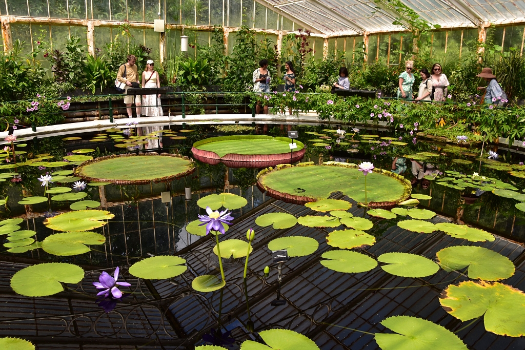 The Waterlilly House in Kew Gardens © essentially-england.com