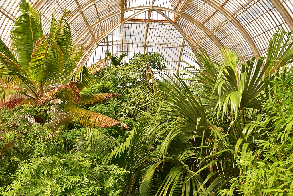 The Upper Walkway of the Palm House © essentially-england.com