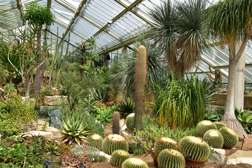 Inside the Princess of Wales Conservatory  © essentially-england.com