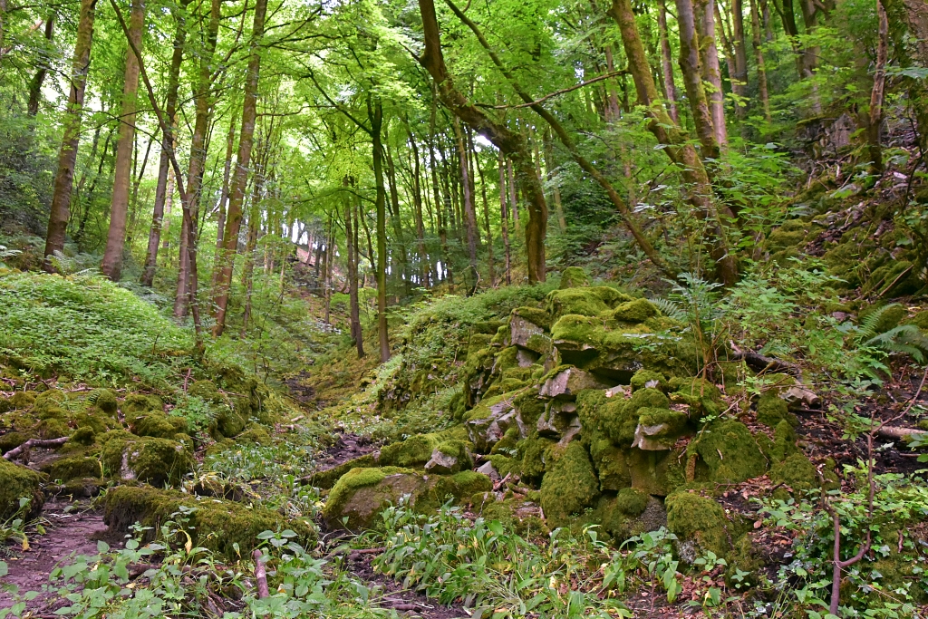 The Woodland Climb © essentially-england.com