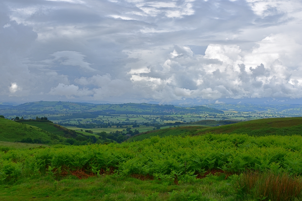 Views from Mitchell's Fold Stone Circle © essentially-england.com