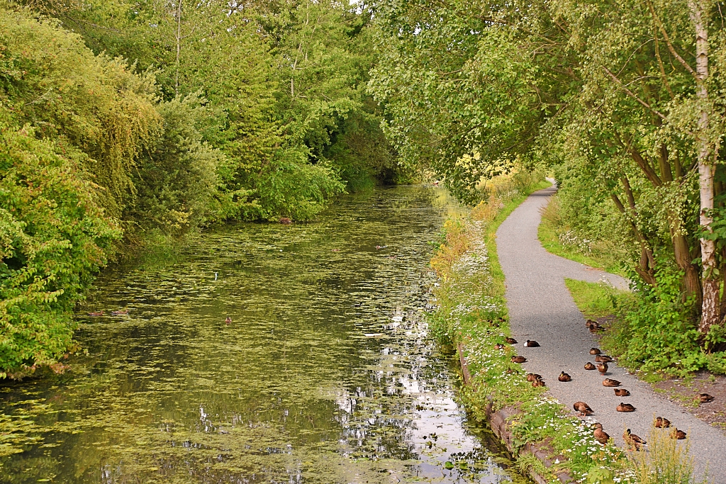 Joining the Birmingham Old Mainline Canal © essentially-england.com