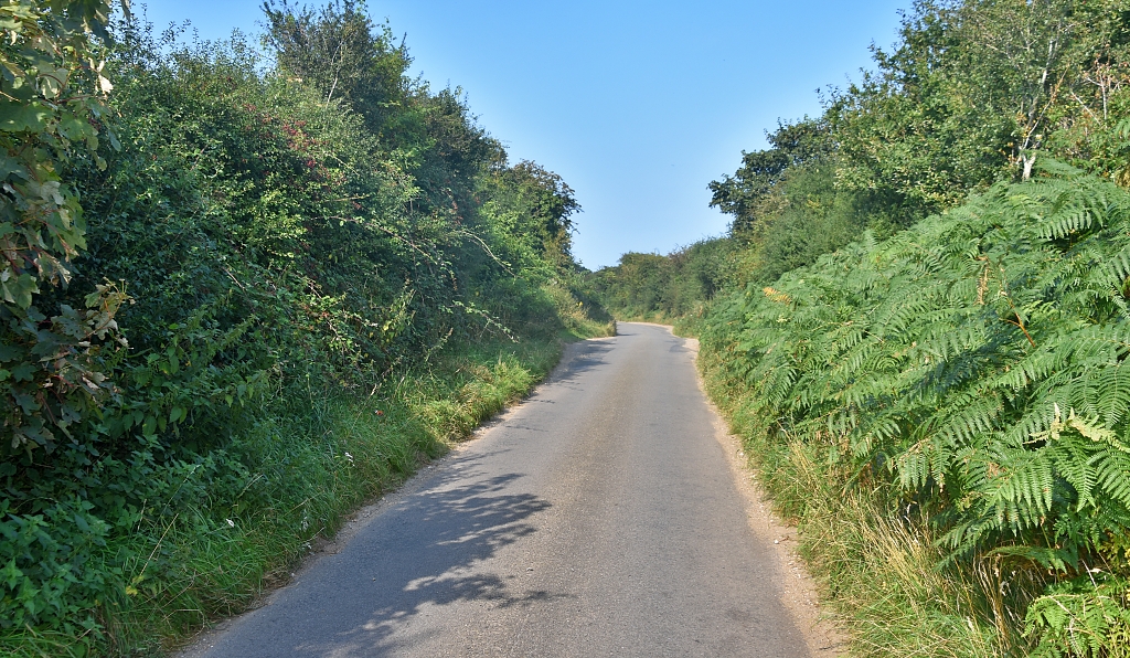 Cycling in Norfolk - A Quiet Small Norfolk Road Near Salthouse © essentially-england.com