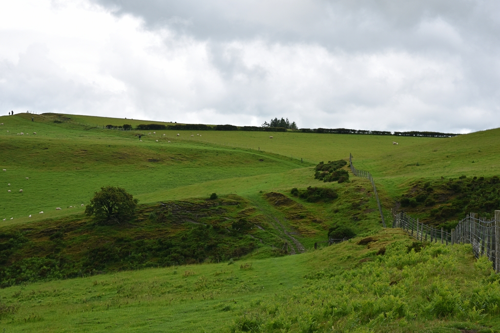 Offa's Dyke Path over the top of Panpunton Hill © essentially-england.com