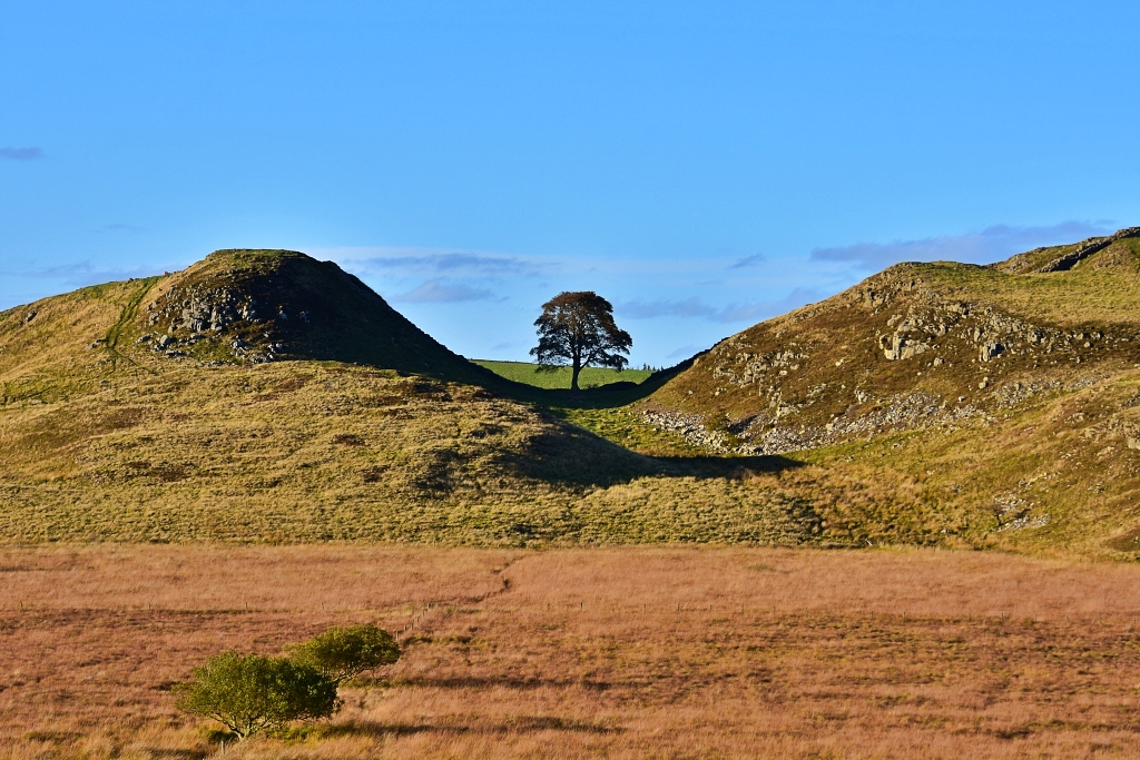 Our last sight of the tree in Sycamore Gap View of Sycamore Gap © essentially-england.com