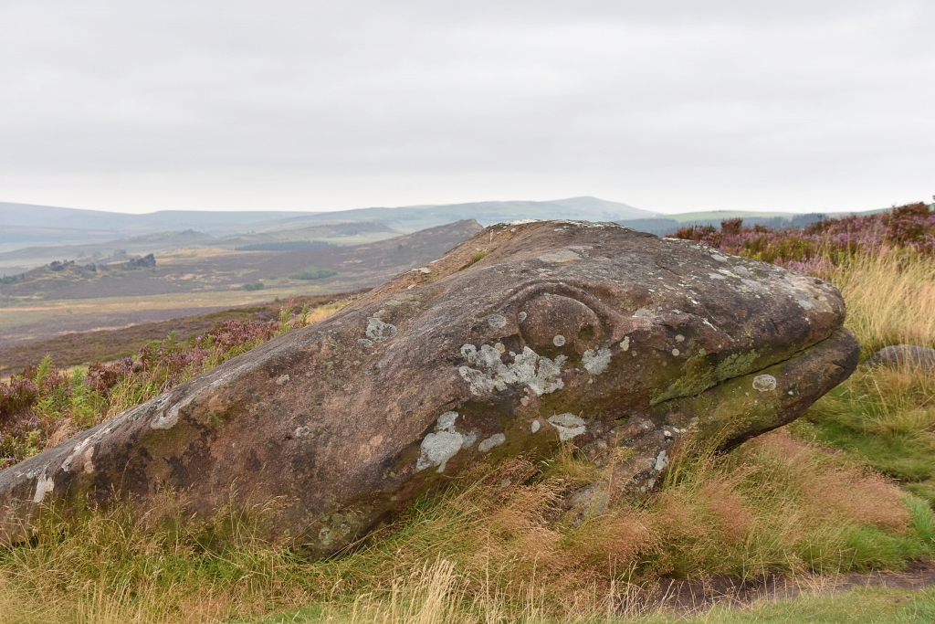 The Ramshaw Serpent © essentially-england.com