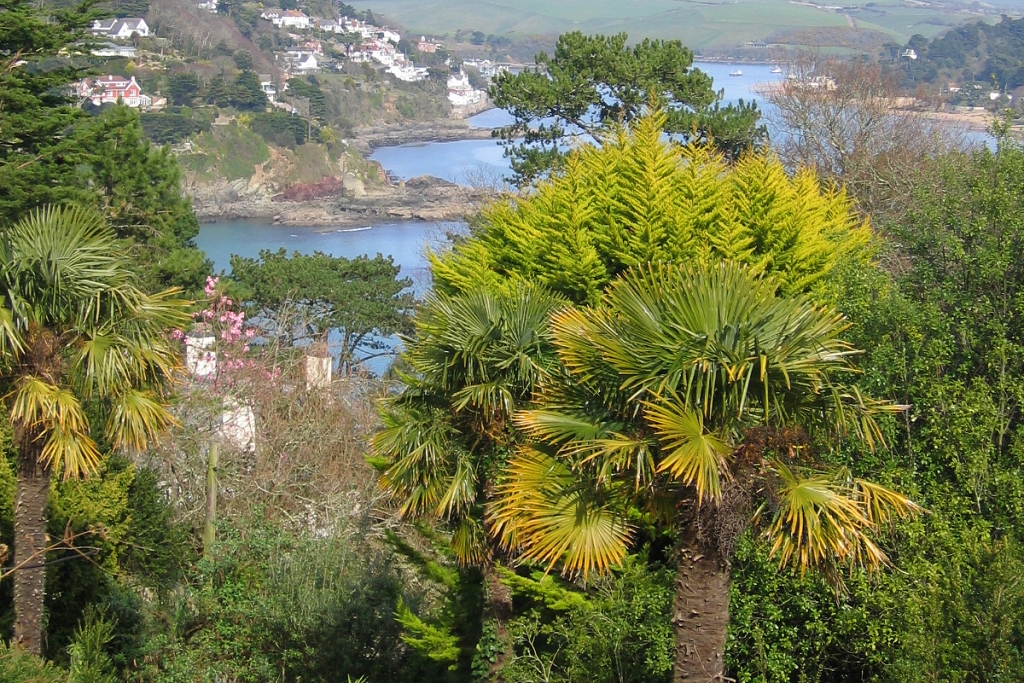 View from Overbeck's Garden © essentially-england.com