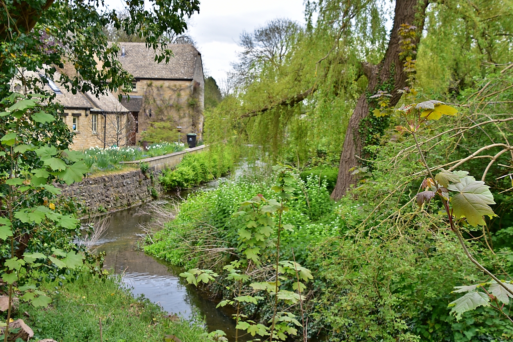 The Shill Brook in Bampton © essentially-england.com