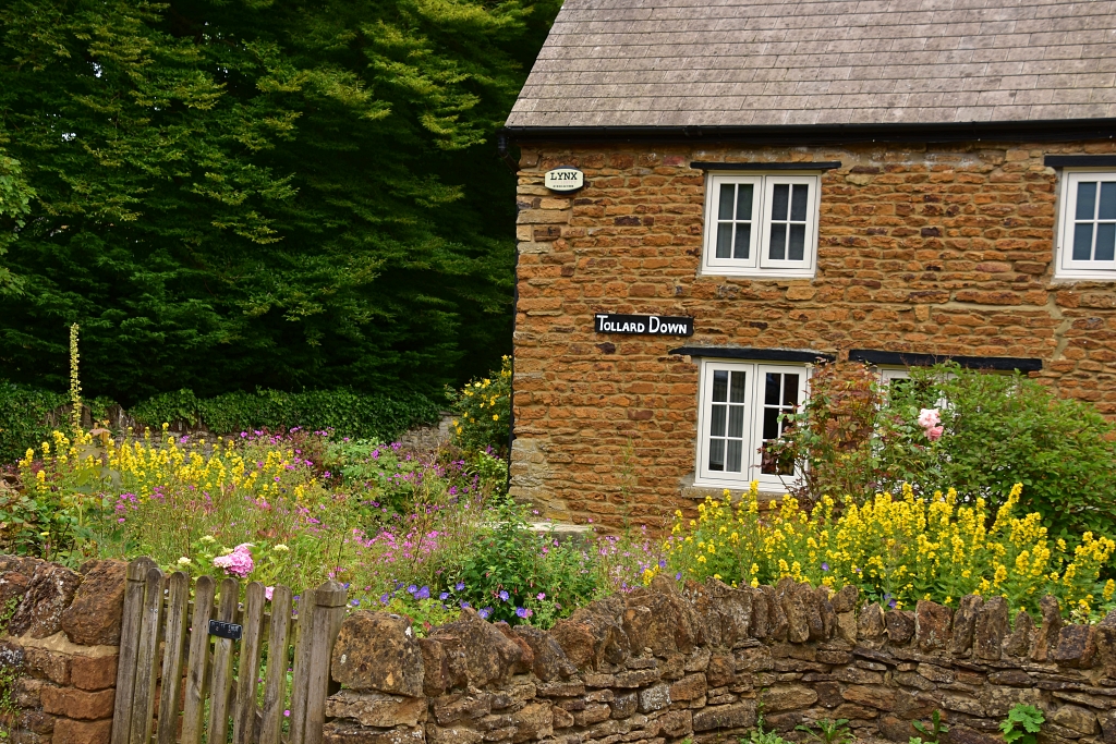 The Colourful Garden of Tollard Down, Number 18 on the Brixworth Heritage Trail  © essentially-england.com