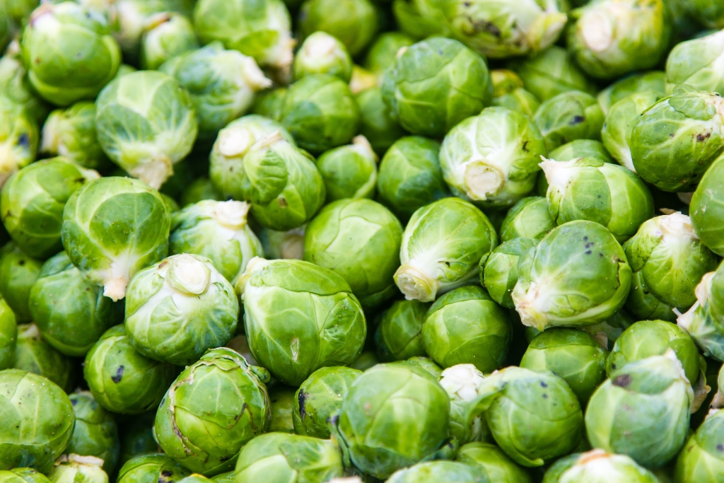 Brussels Sprouts © rcuel | Getty Images canva.com