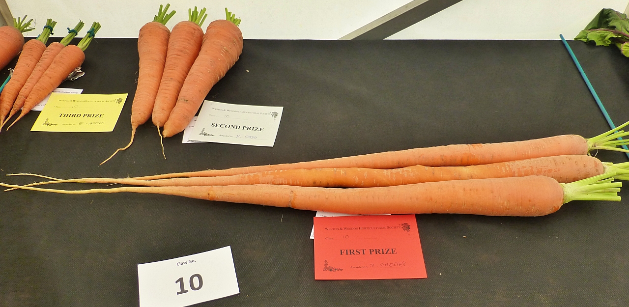 The Carrot Growing Competion Winners at the 2014 Weedon Lois Show © essentially-england.com