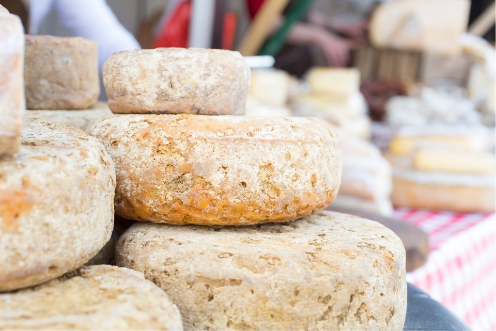 Cheese Display © fotosr | Getty Images canva.com