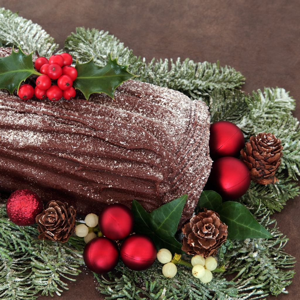Chocolate Yule Log © marilyna | Getty Images canva.com