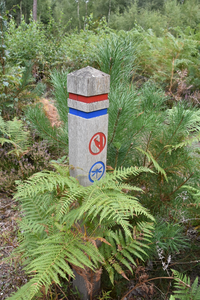 Waymarker Post used to Navigate around Nature Reserve © essentially-england.com