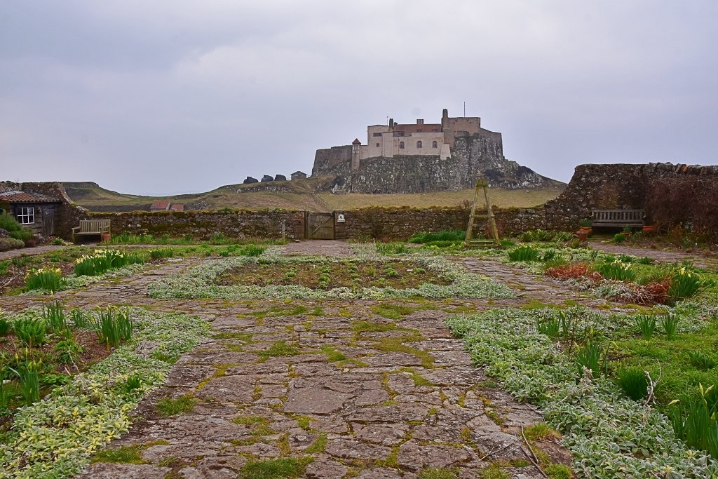 The Gertrude Jekyll Garden at Lindisfarne Castle © essentially-england.com