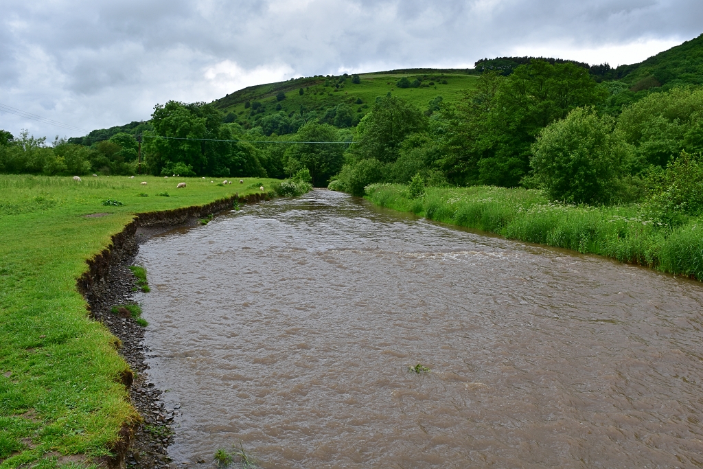 Walking Along the River Teme out of Knighton © essentially-england.com