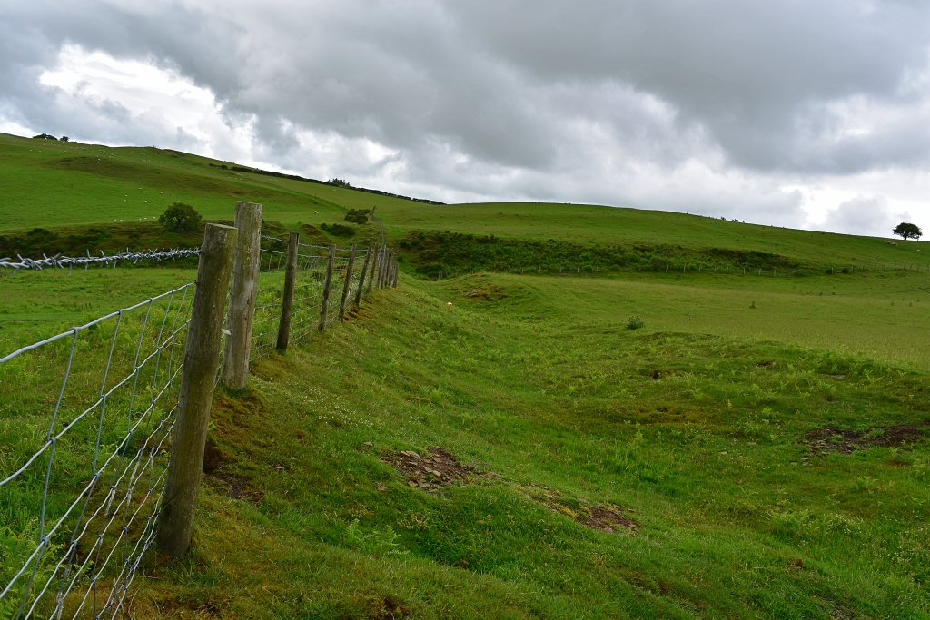 Offa's Dyke Close to the Top of Panpunton Hill © essentially-england.com