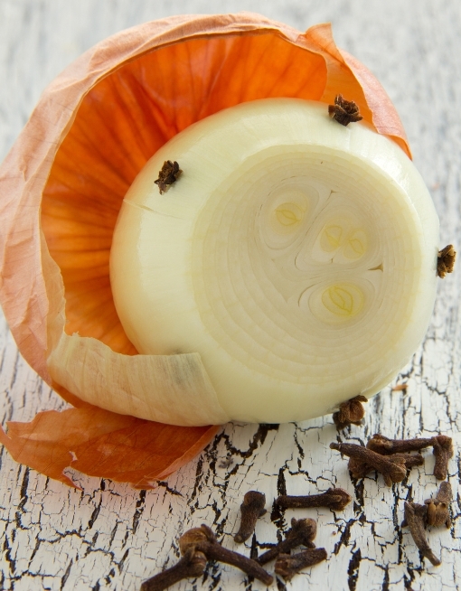 Onion with Cloves © Lessy | Getty Images canva.com