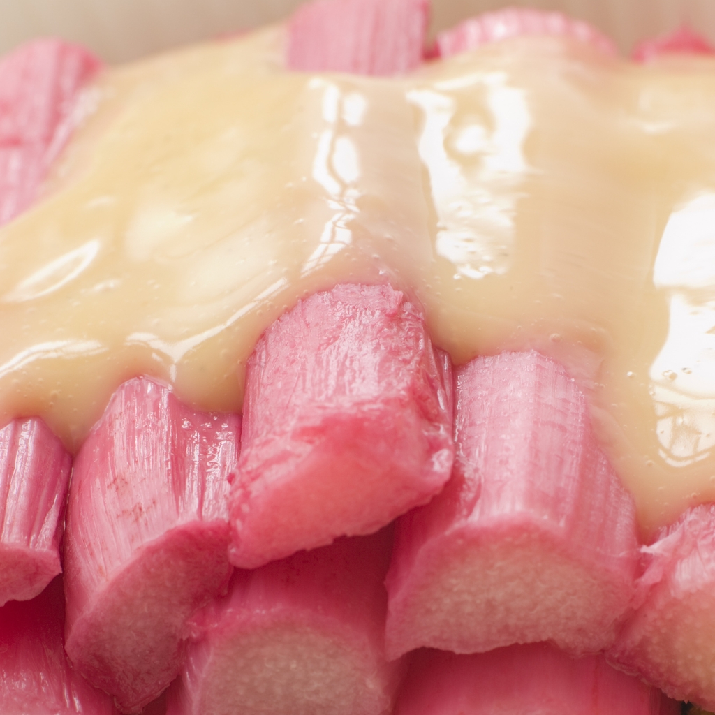 Rhubarb and Custard © Monkey Business Images | canva.com