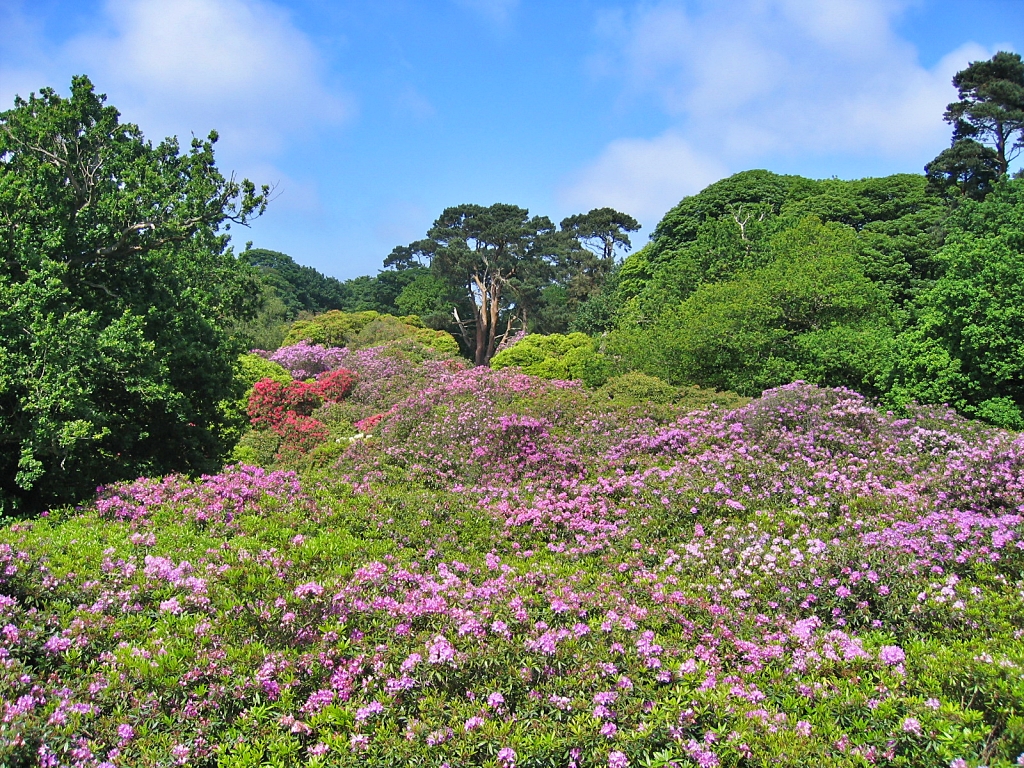 Sheringham Park in Bloom © essentially-england.com