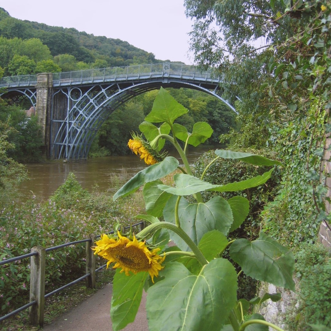 Iron Bridge in Shropshire © essentially-england.com