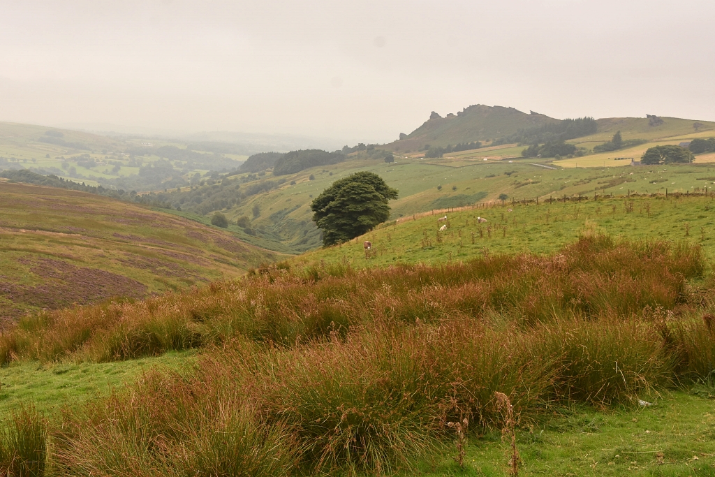 The Murky View Across the Moor to Ramshaw Ridge © essentially-england.com