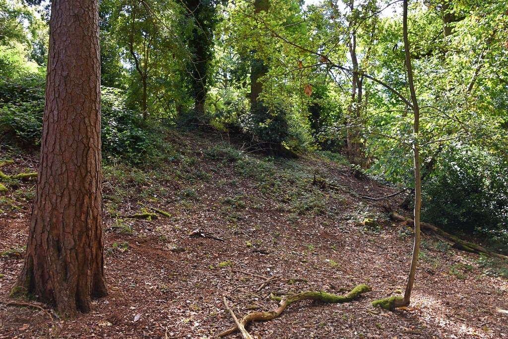 Is this Bank Part of the Red Castle Earthworks? © essentially-england.com