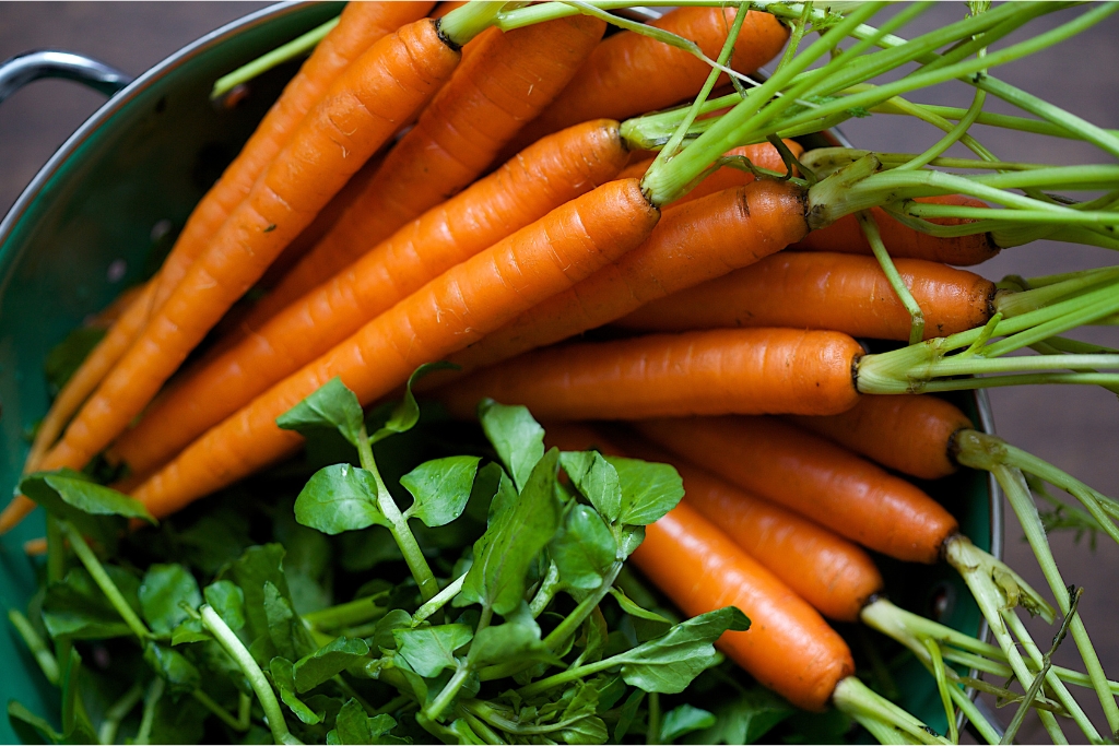 Watercress and Carrots © LeslieBrienza | Getty Images canva.com