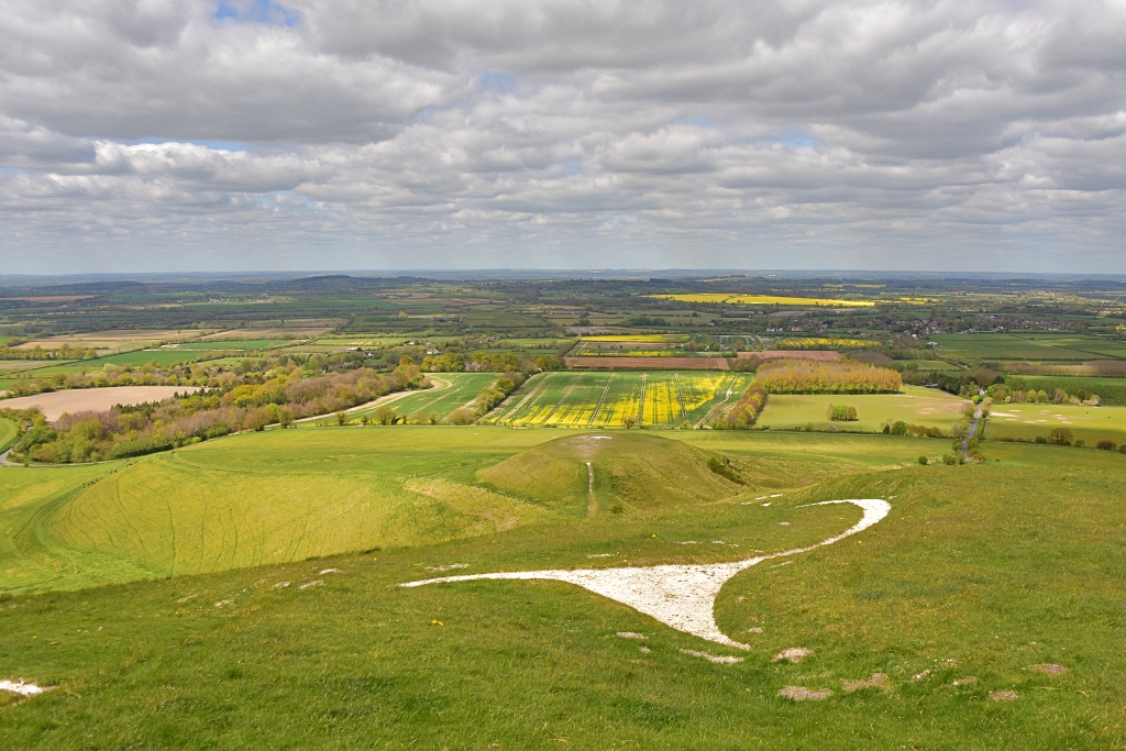 View from Uffington White Horse to Dragon Hill © essentially-england.com